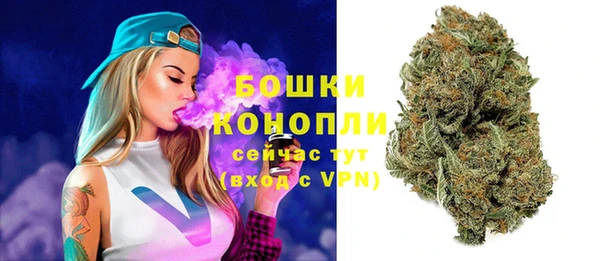 винт Гусев