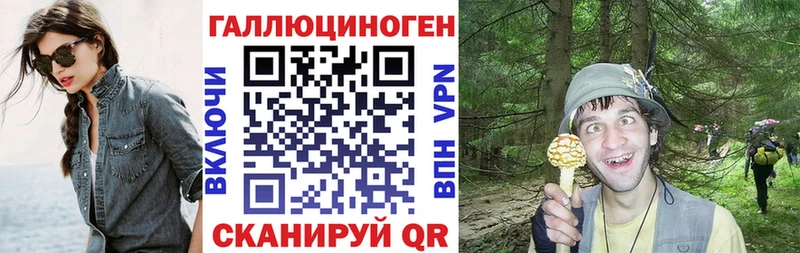 ОМГ ОМГ tor  хочу   Острогожск  Псилоцибиновые грибы мицелий 