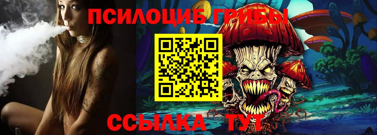 Псилоцибиновые грибы Psilocybe  Острогожск 